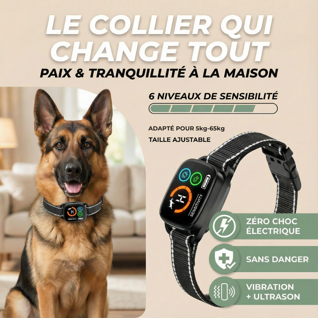 Collier anti aboiement Dogana