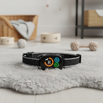 Collier anti aboiement Dogana